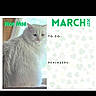 Moe Moe joined the competition — help win amazing prizes! cat, white_cat, fluffy_cat, calendar, march, 2027, indoor, window, pet, animal, to_do, reminders, text, screen, mobile_screenshot, app_interface, portrait, cute, feline, home