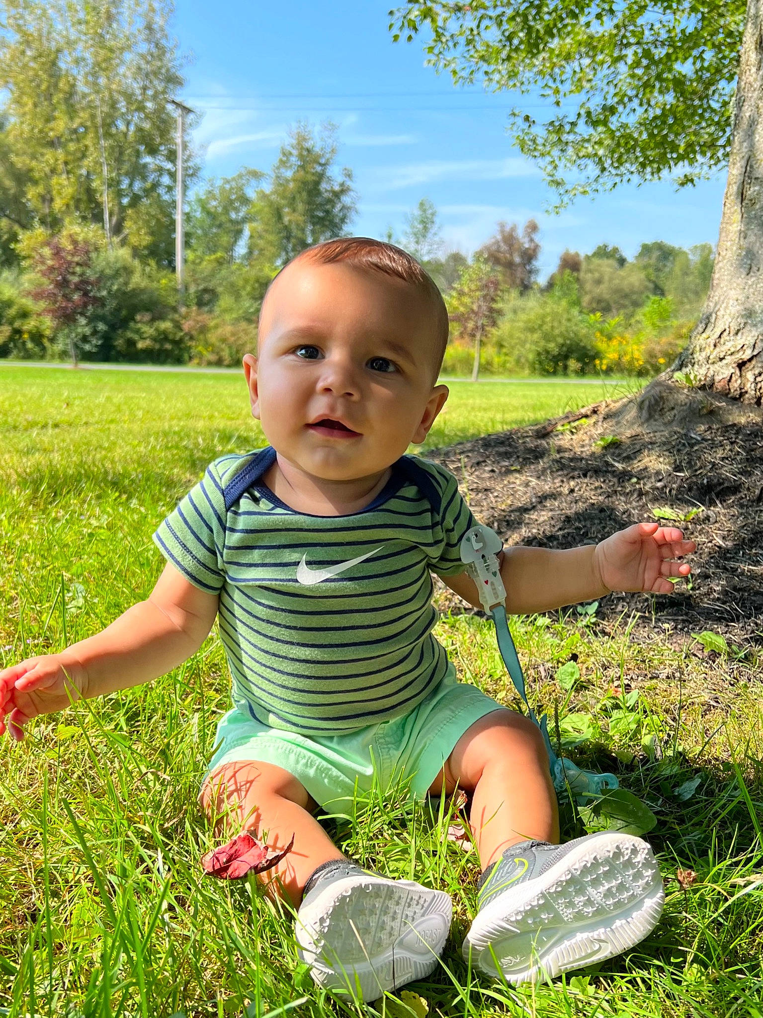 August joined the competition — help win amazing prizes! baby, baby_toddler_clothing, grass, grass_family, grassland, green, groundcover, happy, leaf, leisure, meadow, nature, people_in_nature, person, plant, sky, summer, sunlight, terrestrial_plant, toddler