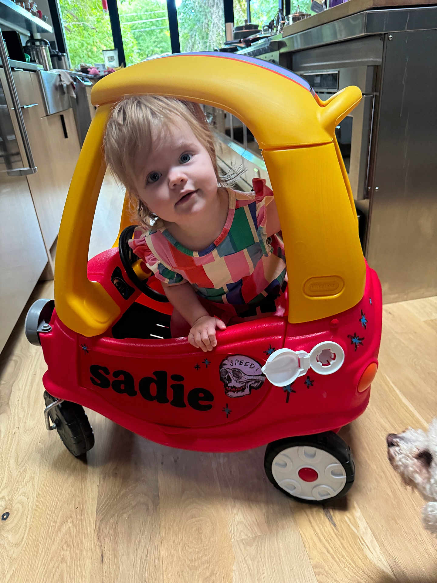 Sadie Jaymes joined the competition — help win amazing prizes! toddler, child, toy_car, red, yellow, indoor, kitchen, wood_floor, dog, pet, curious, colorful_clothing, window, appliances, flooring, playtime, plastic, person, face, vehicle