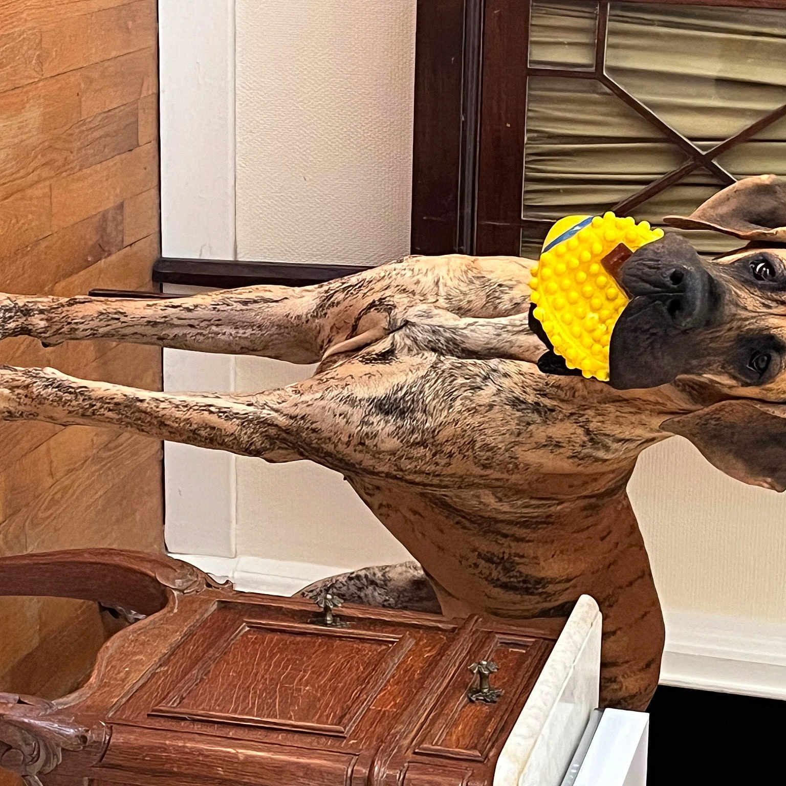 Sauvage De La Cala Del Leone