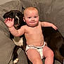 baby, diaper, dog, couch, sofa, pet, child, waving, barefoot, indoor, friendship, cute, relaxing, companion, furniture, smiling, comfort, young, black_dog, white_paws