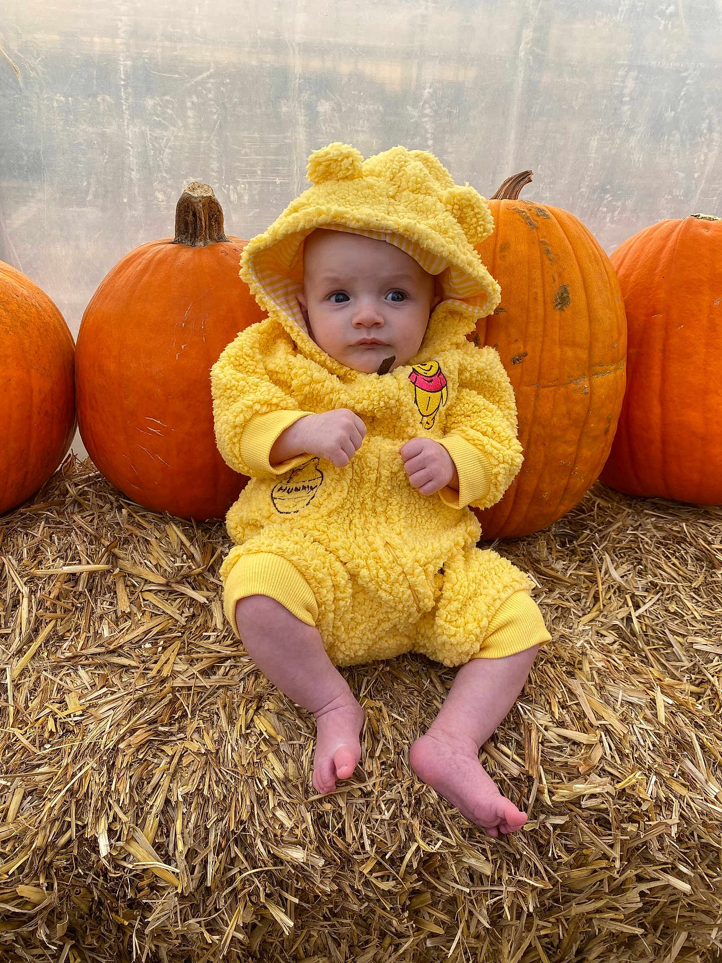 Maverick is registered to the contest to win money with this photo: baby, child, pumpkin, yellow_hoodie, straw, autumn, cute, outdoor, fall, harvest, costume, portrait, sitting, seasonal, orange, hood, person, expression, small, festive