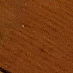 Réglisse a rejoint le concours — aidez-le/la à gagner de superbes lots ! brown, floor, flooring, hardwood, line, material, plywood, wood, wood_flooring, wood_stain