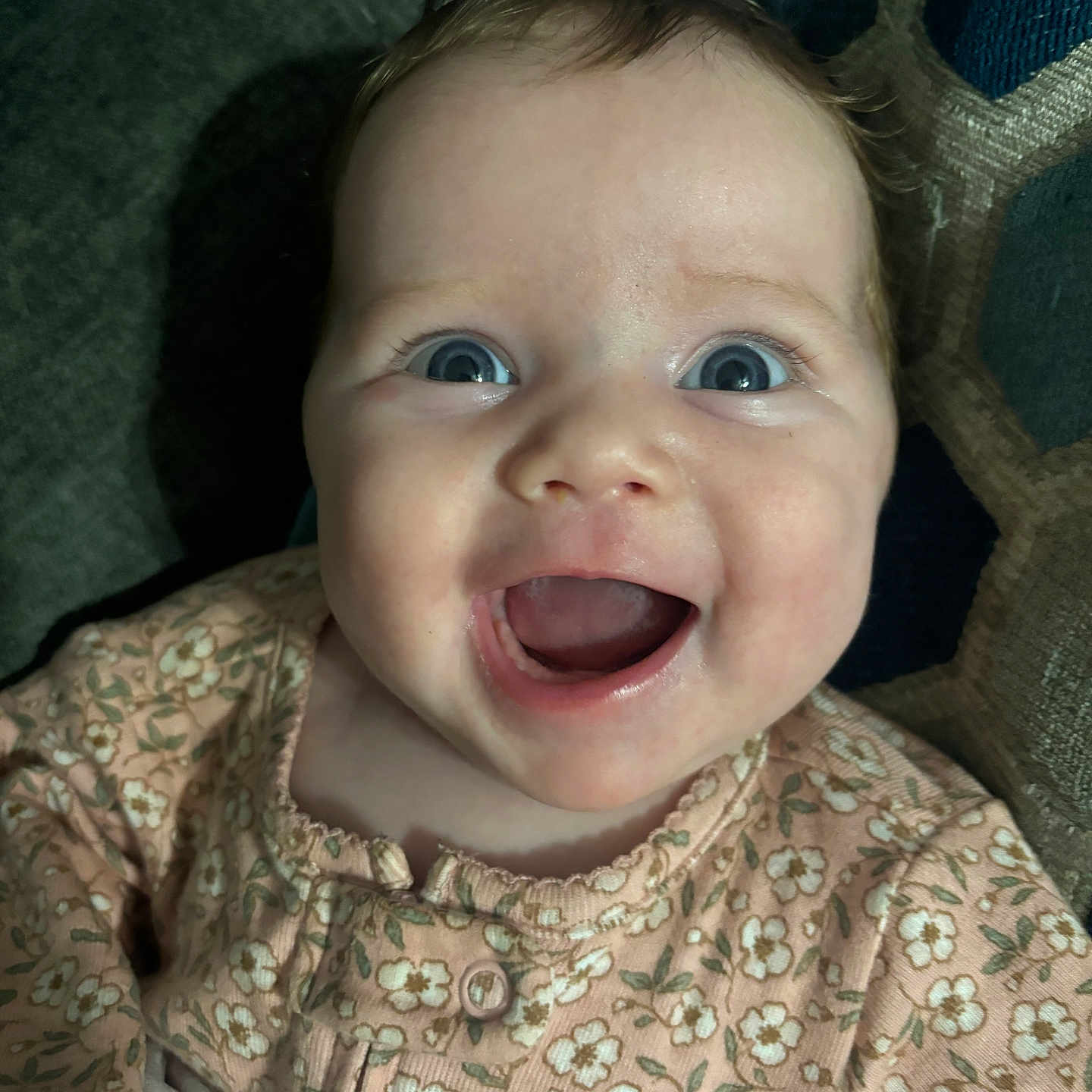 Lucia