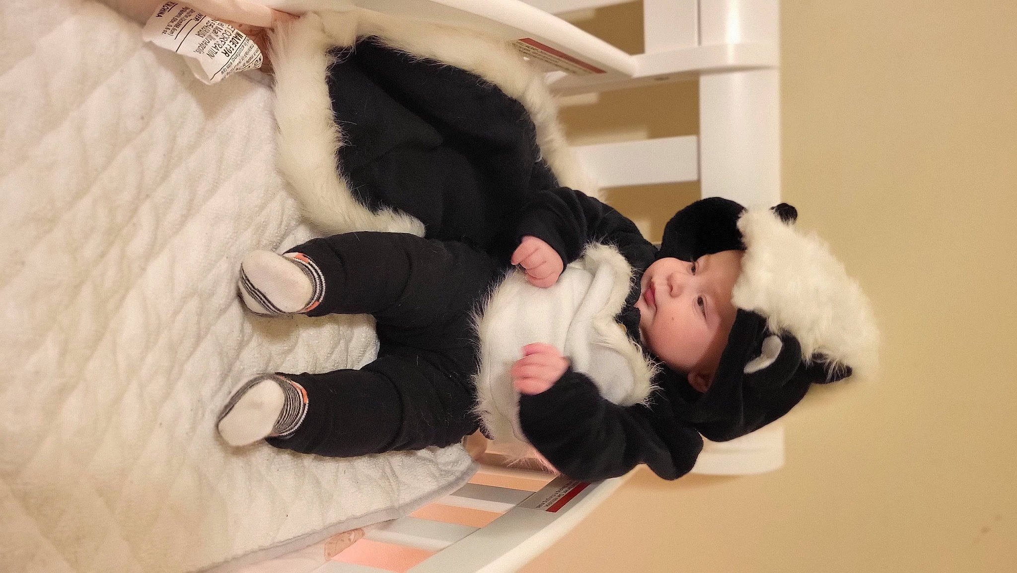 Briella joined the competition — help win amazing prizes! baby, child, comfort, companion_dog, flooring, foot, fun, fur, gesture, happy, headwear, human_leg, knee, person, plush, room, sock, stuffed_toy, tail, thigh
