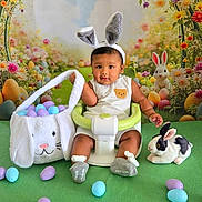 Dylan is registered to the contest to win money with this photo: baby, bunny_ears, easter_eggs, basket, green_seat, stuffed_bunny, flowers, background, cute, child, holiday, spring, portrait, indoor, colorful, playful, smiling, festive, toy, costume
