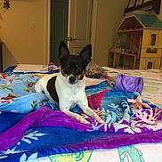 Ava is registered to the contest to win money with this photo: art, blue, costume, girl, pink, product, purple, textile