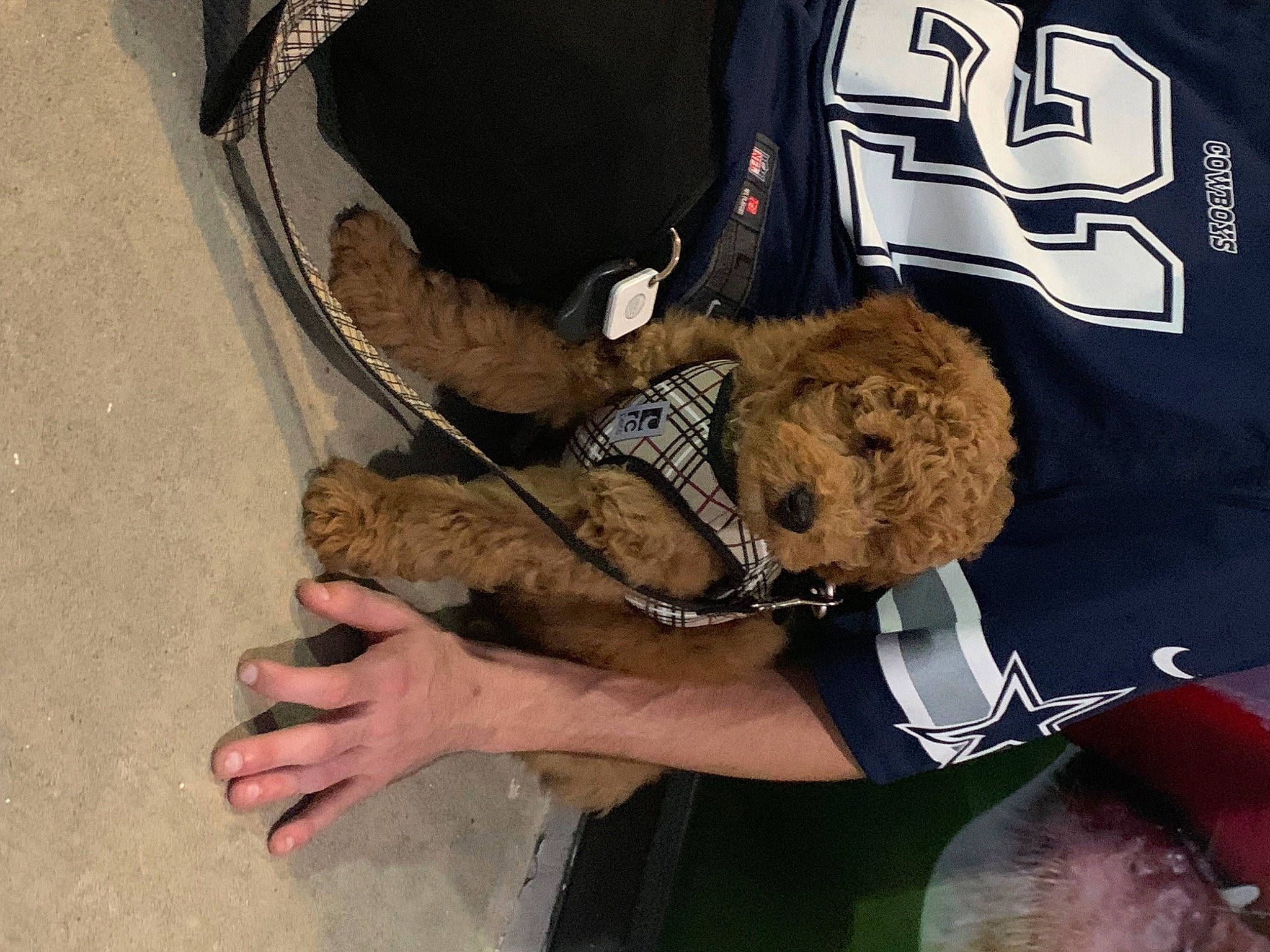 Riley is registered to the contest to win money with this photo: baggage, elbow, fashion_accessory, foot, fur, glove, hat, human_leg, jersey, logo, personal_protective_equipment, pocket, sleeve, sports_gear, sportswear, t_shirt, thigh, uniform, wood, wrist