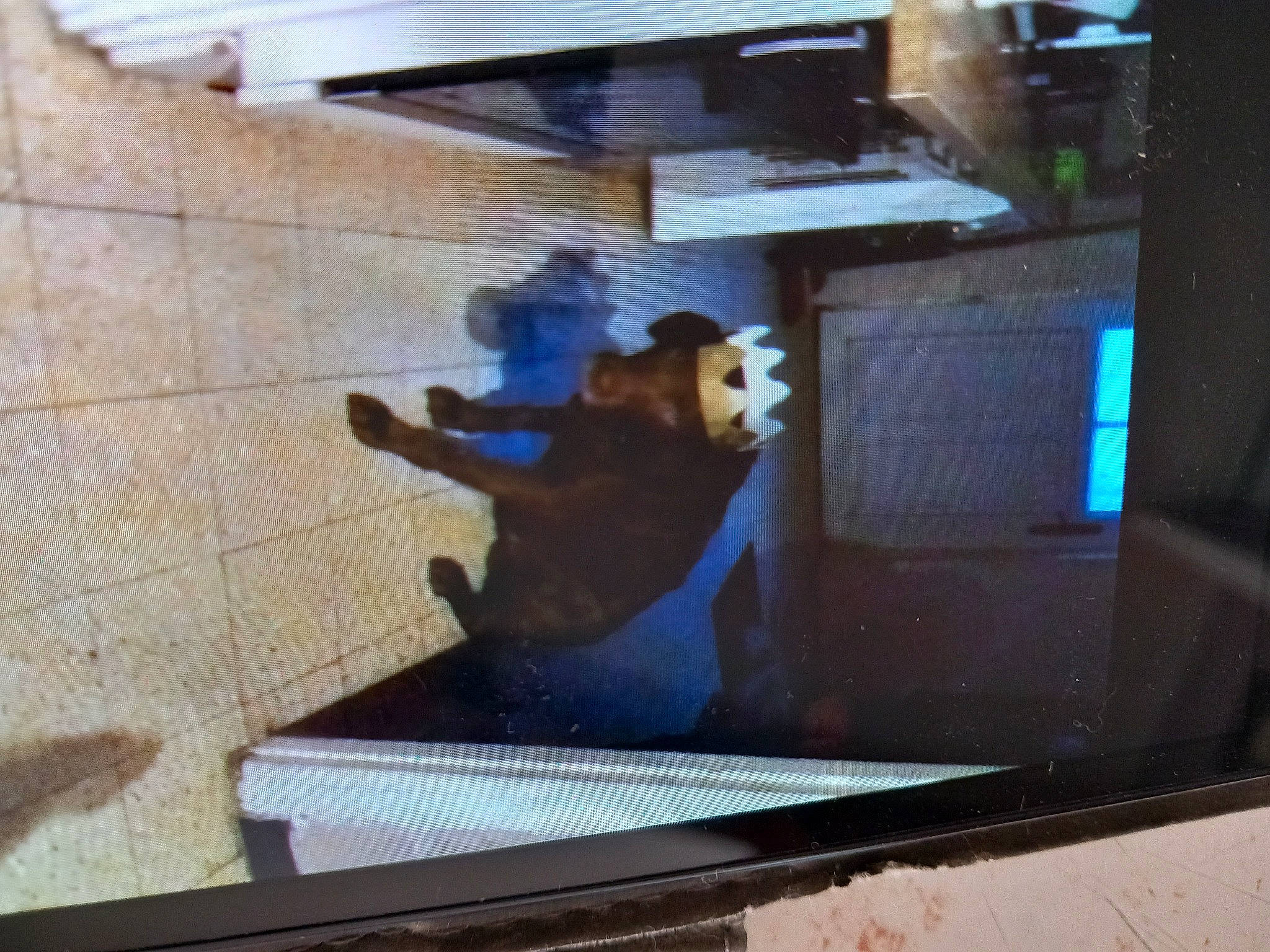 Falko participe au concours pour gagner de l'argent avec cette photo : art, building, concrete, display_device, facade, flat_panel_display, flooring, glass, hardwood, house, metal, rectangle, room, shade, shadow, stairs, television_set, visual_arts, window, wood