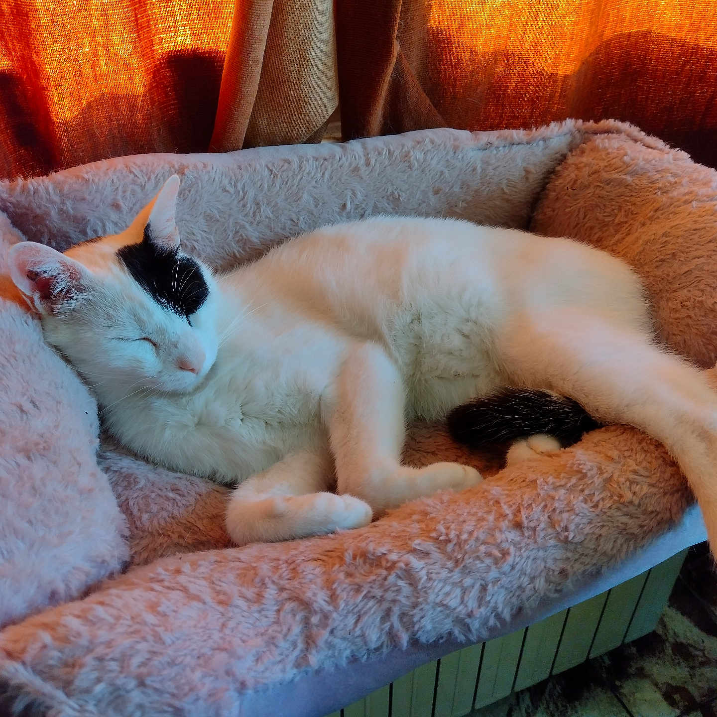 Max