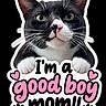 cat, tuxedo_cat, pet, animal, portrait, close_up, face, eyes, whiskers, ears, paws, black_and_white, cute, sticker, text_overlay, pink_text, hearts, paw_prints, black_background, digital_design
