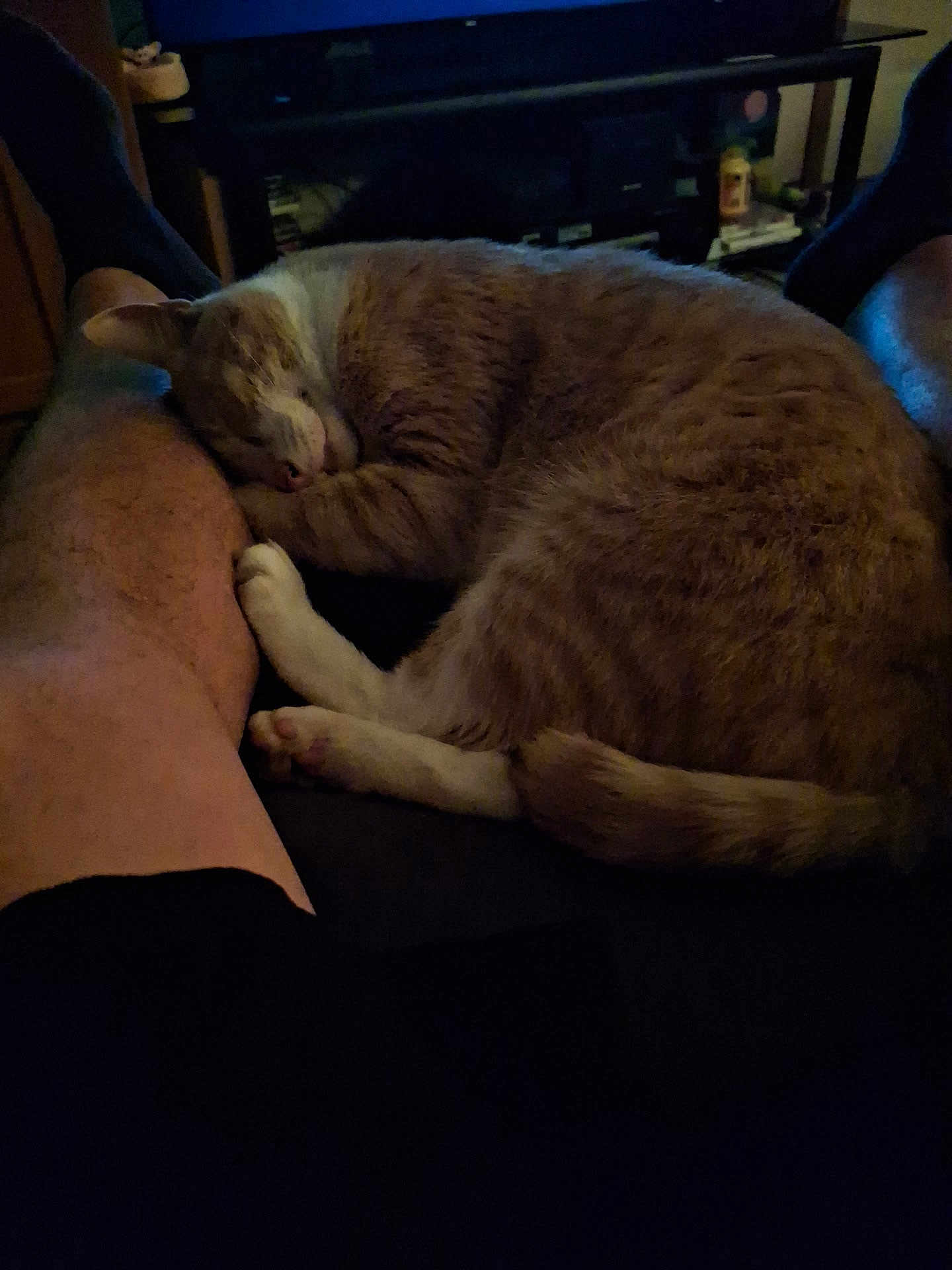 Butterscotch