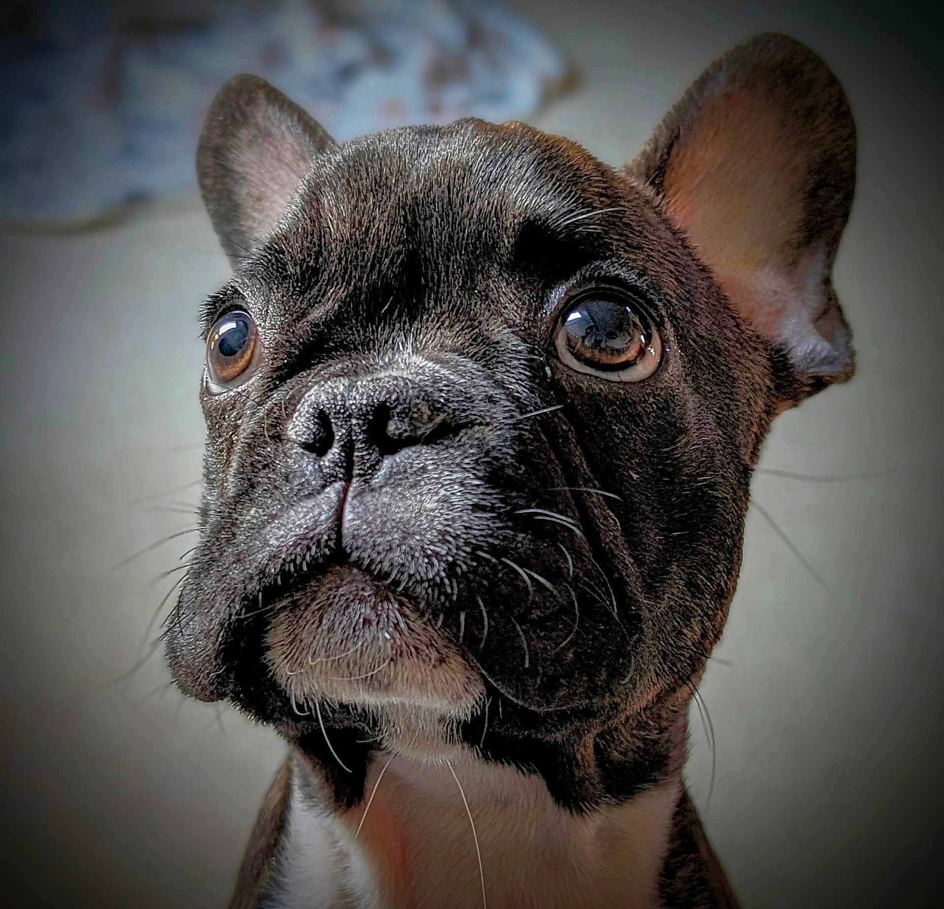 Oscar L
