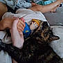 arm, bed, blanket, cat, child, child_playing, couch, cozy, family, furniture, hand_holding, indoor, legs, person, relaxing, snuggling, soft_toys, tortoiseshell, toy, woody_doll