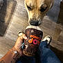 bracelet, brown, brown_dog, casual_clothing, closeup, curious, dog, floor, footwear, hand, holding, indoor, jeans, person, plush_toy, shoe, sniffing, tattoo, toy, wood_floor