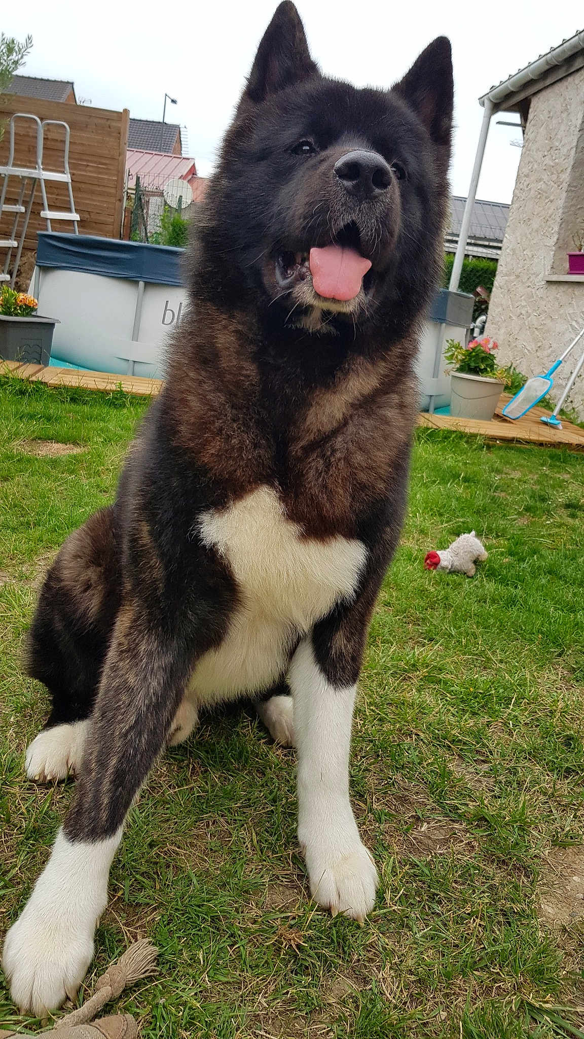 Odin