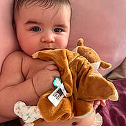 David participe au concours pour gagner de l'argent avec cette photo : baby, child, closeup, comfort, curly_hair, cushion, cute, diaper, expression, face, hand, holding, indoor, infant, pink_background, plush_toy, resting, skin, soft_toy, young