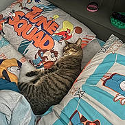 Brownie is registered to the contest to win money with this photo: bed, bedding, blanket, cartoon, cat, childrens_bedroom, controller, cozy, cute, indoor, nap, pattern, pillow, pop_it_toy, shelf, sleeping, striped_fur, tabby_cat, tune_squad, wristband