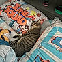 bed, bedding, blanket, cartoon, cat, childrens_bedroom, controller, cozy, cute, indoor, nap, pattern, pillow, pop_it_toy, shelf, sleeping, striped_fur, tabby_cat, tune_squad, wristband