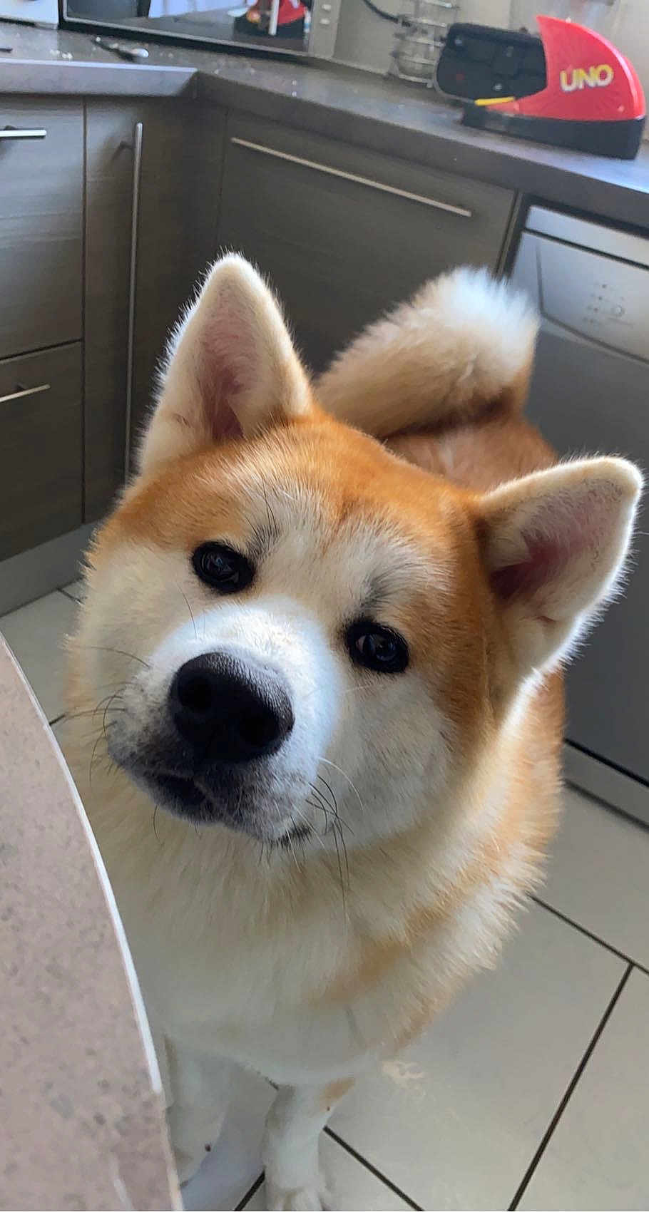 Reïko