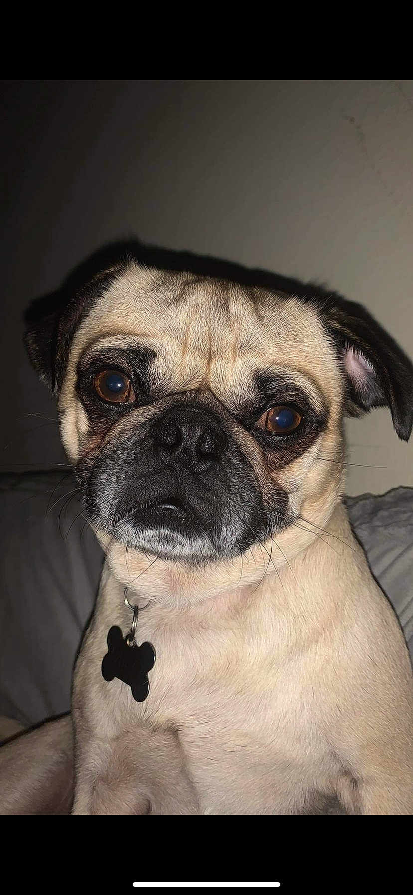 Milo