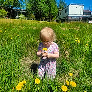 Frankie-Rae joined the competition — help win amazing prizes! blue_sky, child, curly_hair, dandelion, daylight, dress, flower, grass, greenery, house, meadow, nature, outdoor, person, playing, recreational_vehicle, summer, sunny, toddler, tree