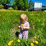 blue_sky, child, curly_hair, dandelion, daylight, dress, flower, grass, greenery, house, meadow, nature, outdoor, person, playing, recreational_vehicle, summer, sunny, toddler, tree