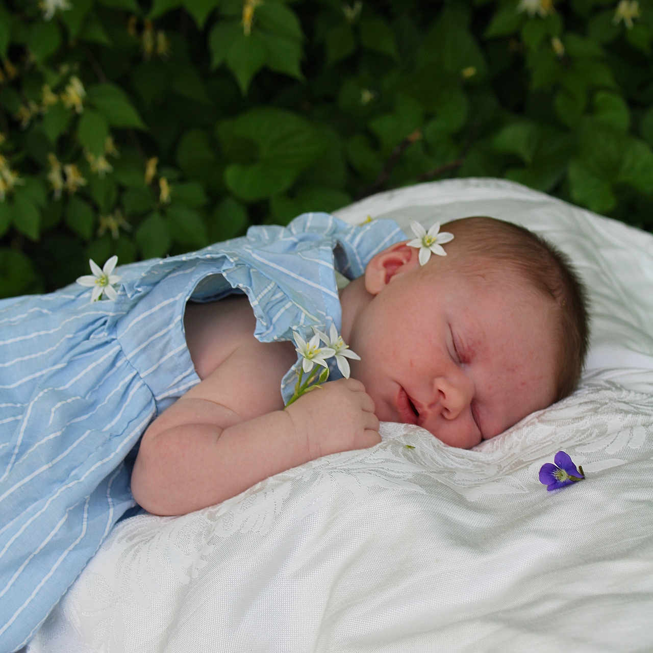 Calliope