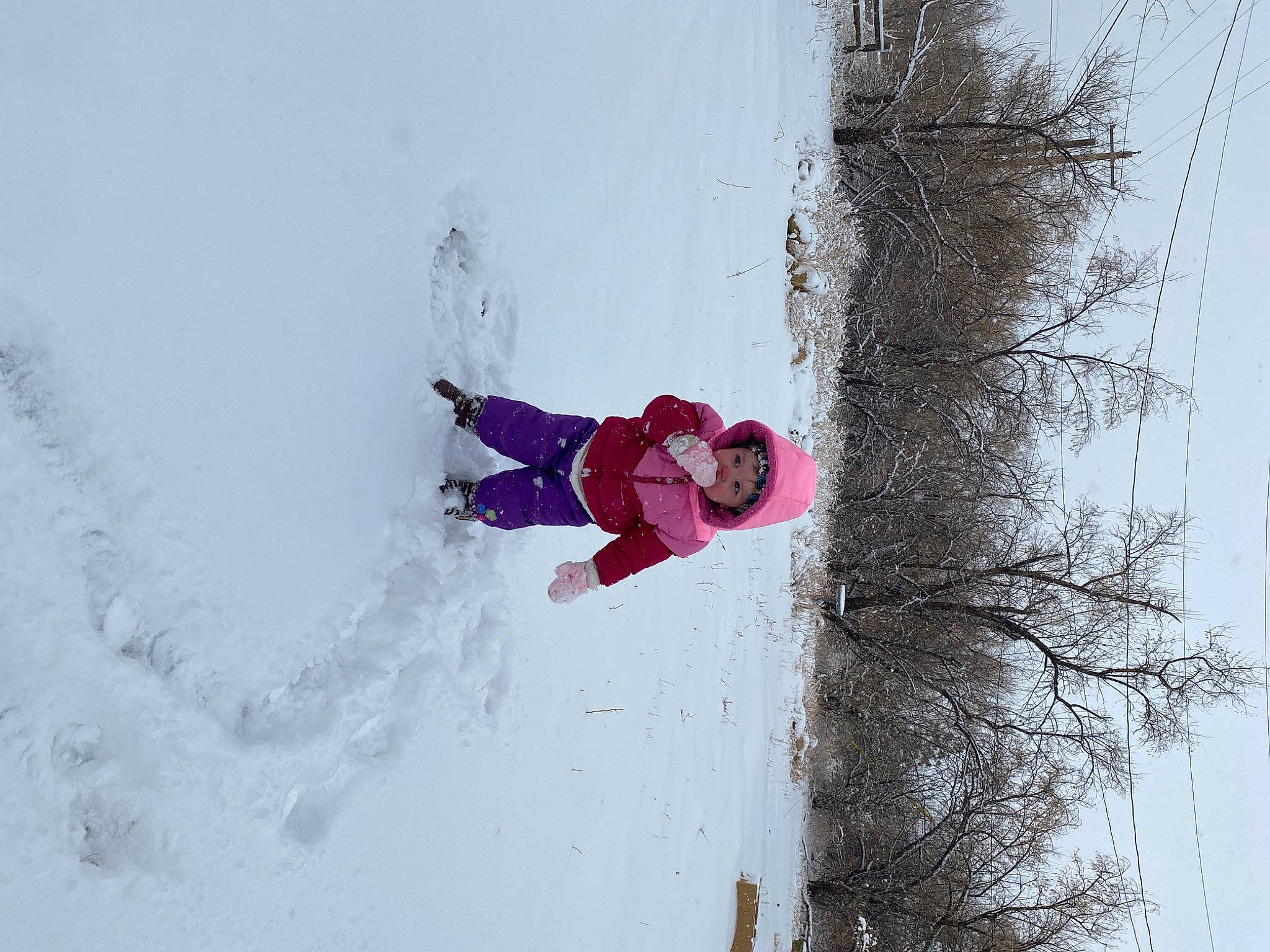 Hope is registered to the contest to win money with this photo: carmine, extreme_sport, freezing, frost, fun, headwear, ice_cap, magenta, person, plant, playing_in_the_snow, recreation, sky, slope, snow, toddler, tree, twig, window, winter