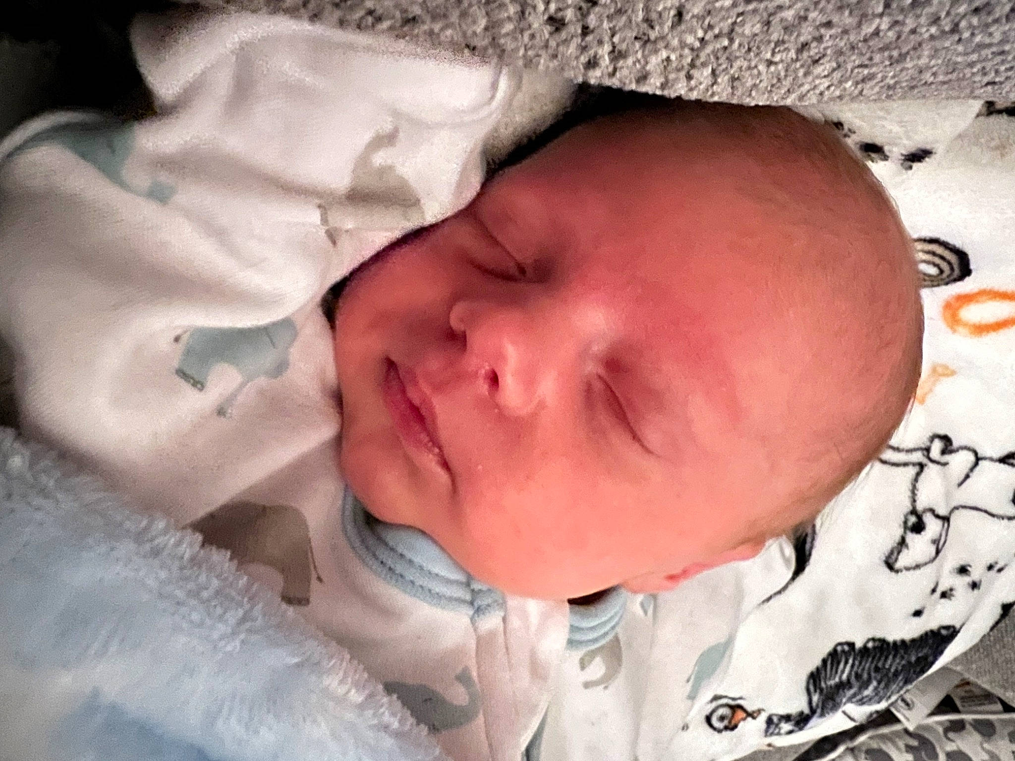 Brantley is registered to the contest to win money with this photo: baby, baby_sleeping, baby_toddler_clothing, cheek, chin, comfort, ear, eye, eyebrow, face, forehead, hair, head, human_body, iris, lip, mouth, nose, person, skin