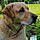 Kayser