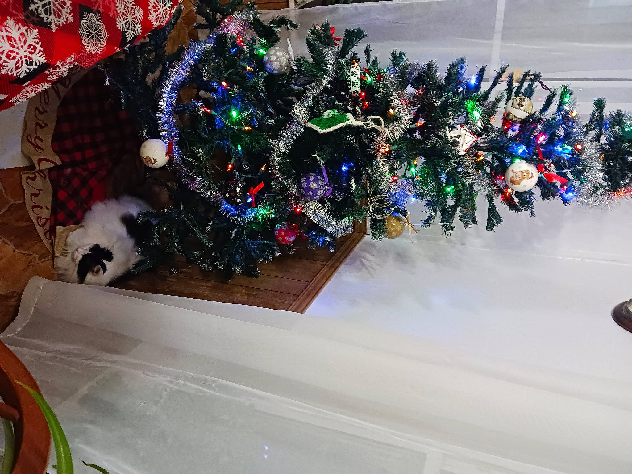 Fuzbomb joined the competition — help win amazing prizes! christmas, christmas_decoration, christmas_eve, christmas_ornament, christmas_tree, conifer, event, fun, holiday, holiday_ornament, house, interior_design, ornament, plant, table, toy, tradition, tree, window, winter