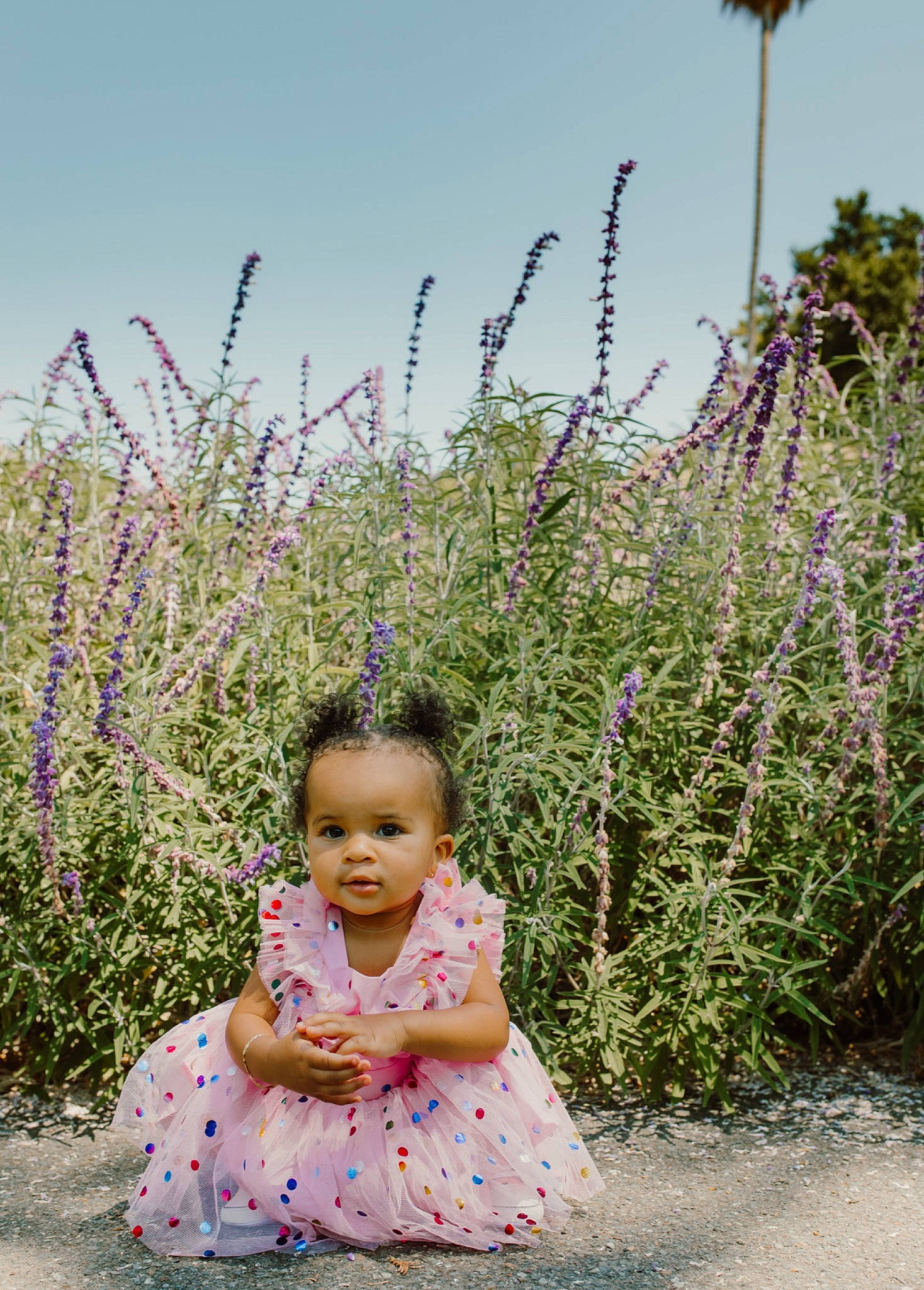 Natalia joined the competition — help win amazing prizes! annual_plant, baby, baby_toddler_clothing, child, flower, flowering_plant, grass, grass_family, grassland, happy, herbaceous_plant, people_in_nature, person, plant, prairie, purple, shrub, sitting, sky, subshrub