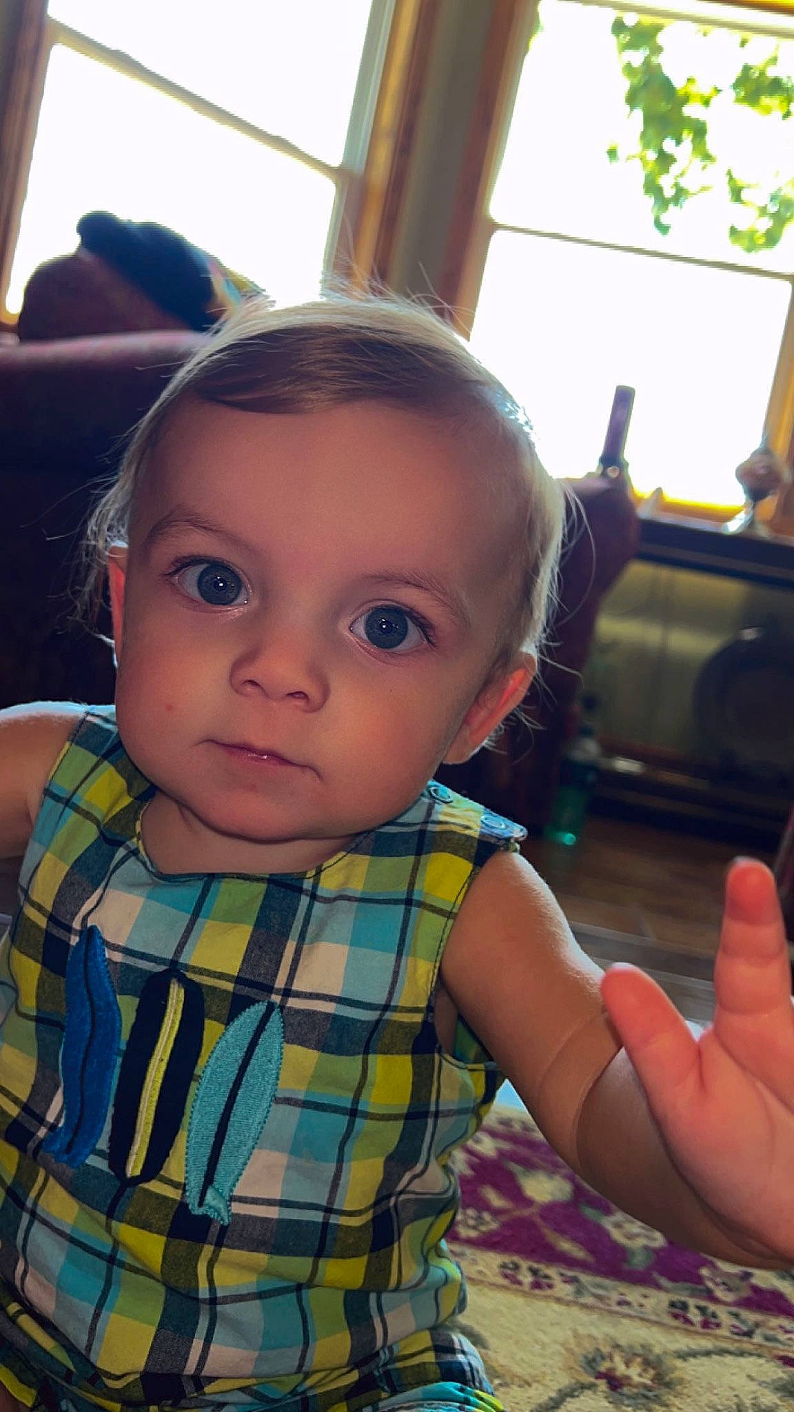 Collin is registered to the contest to win money with this photo: baby, baby_toddler_clothing, cheek, child, chin, ear, finger, fun, gesture, hand, happy, nose, pattern, person, plaid, sitting, skin, tartan, thumb, toddler