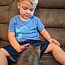 Tucker is registered to the contest to win money with this photo: child, boy, kitten, pet, couch, blue_shirt, shorts, brown_couch, indoor, curious, affection, young_child, casual_clothing, furniture, domestic_animal, furry, cute, tender_moment, seated, hand