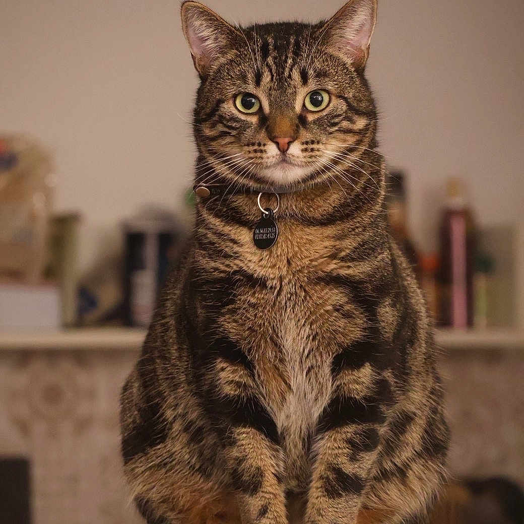 Mio