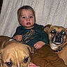 Matthew is registered to the contest to win money with this photo: toddler, child, dog, pets, blanket, couch, indoor, window, furniture, cozy, family, portrait, brown_dog, tan_dog, casual_clothing, home, happy, cute, resting, companionship