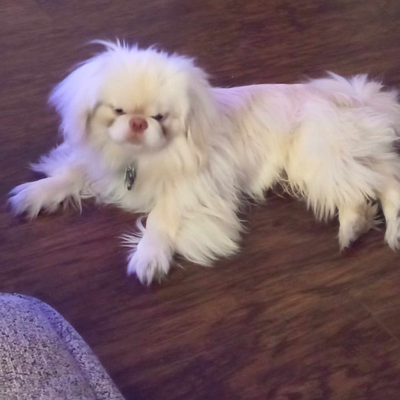 Tiny Tim