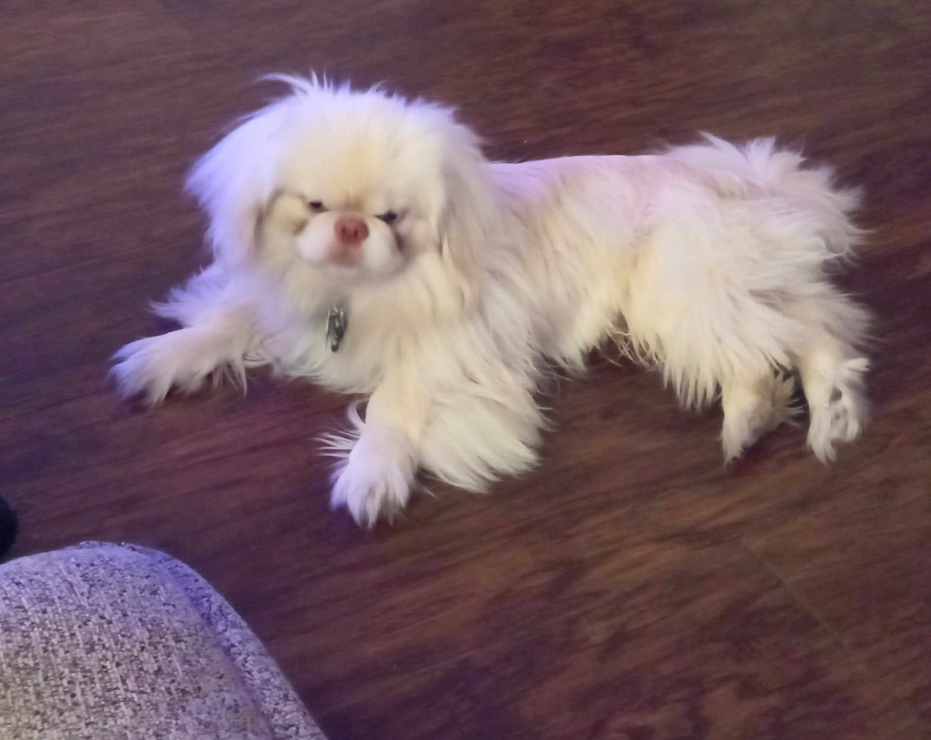 Tiny Tim