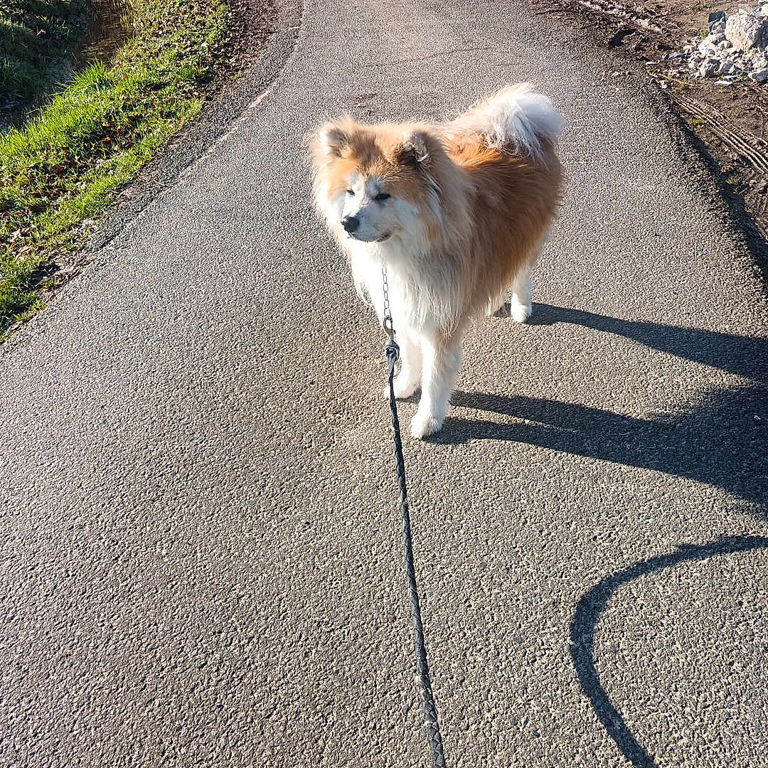 Roxy