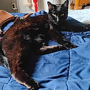 Sugar is registered to the contest to win money with this photo: