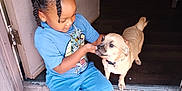 Mocha is registered to the contest to win money with this photo: affection, black_shoes, blue_clothing, braided_hair, casual, child, concrete_floor, cute, dog, doorway, feeding, happy, indoor, interaction, pet, playful, sitting, toddler, white_socks, young