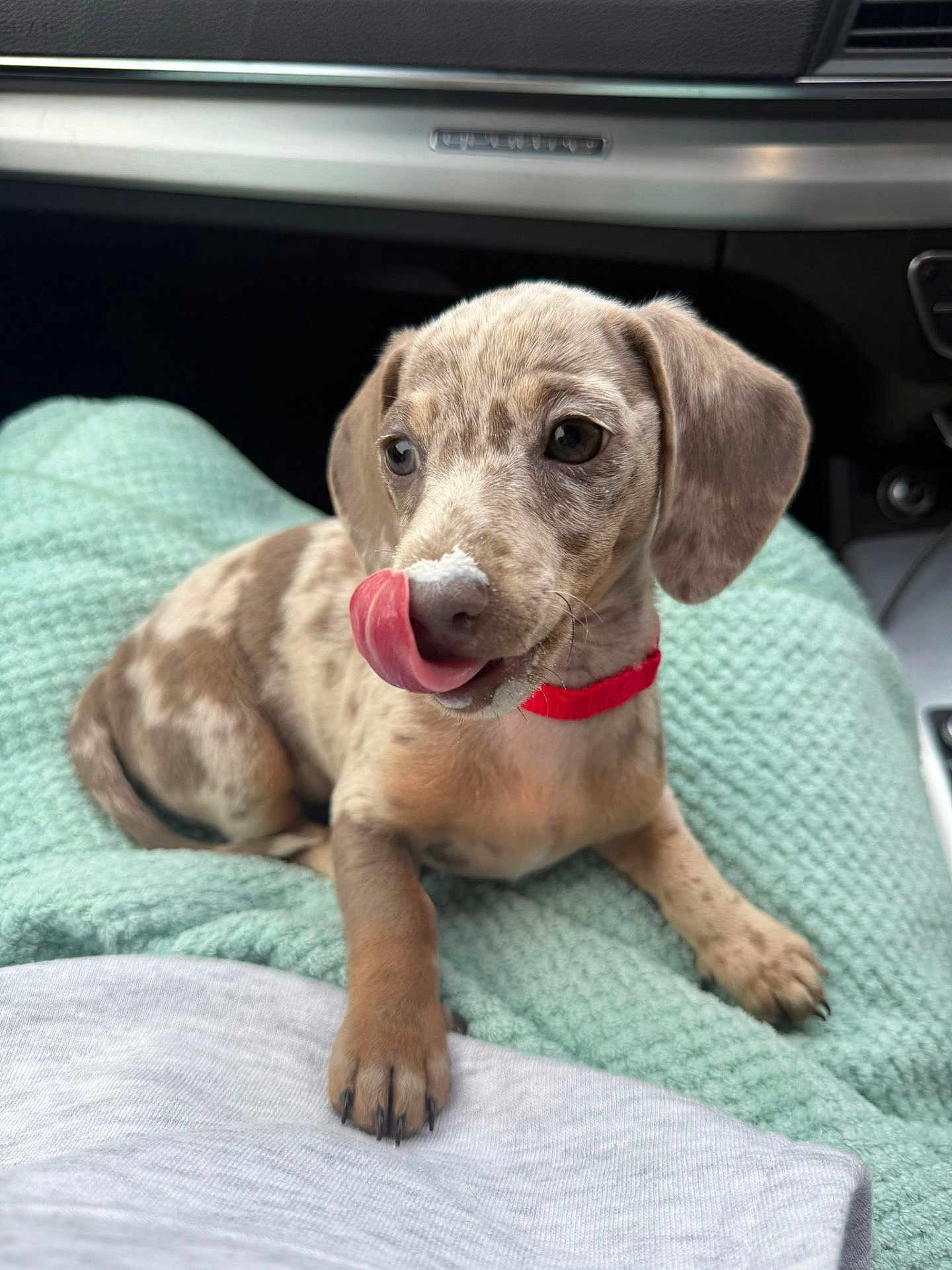 Woody