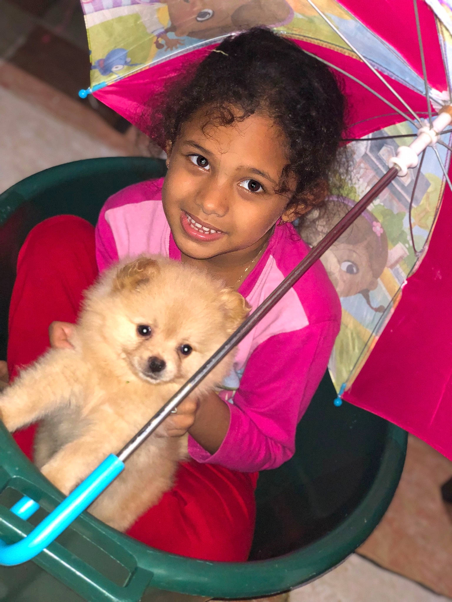 Jayadeshwari a rejoint le concours — aidez-le/la à gagner de superbes lots ! carnivore, chair, child, companion_dog, dog, dog_breed, fawn, fun, happy, joy, leisure, organ, people, person, pink, skin, smile, snapshot, spitz, toddler