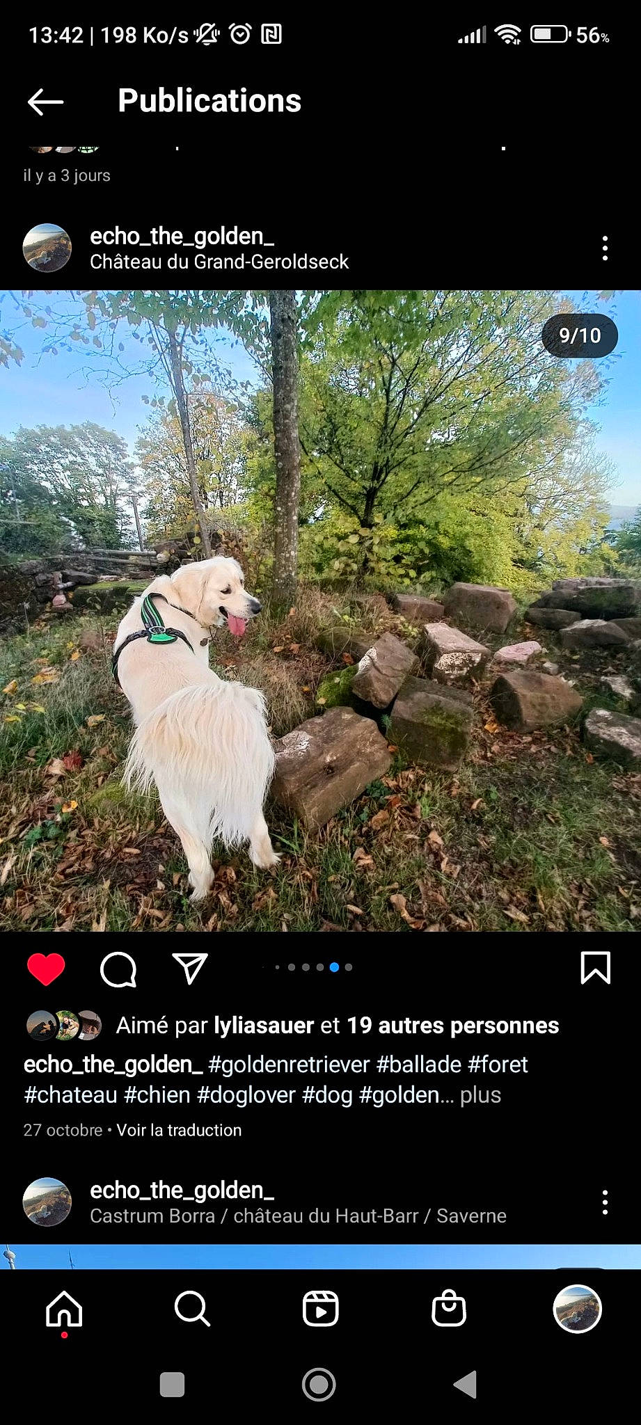 Echo a rejoint le concours — aidez-le/la à gagner de superbes lots ! adaptation, carnivore, companion_dog, dog, font, grass, grassland, happy, landscape, natural_landscape, organism, people_in_nature, photo_caption, plant, screenshot, sky, soil, terrestrial_plant, tree, world