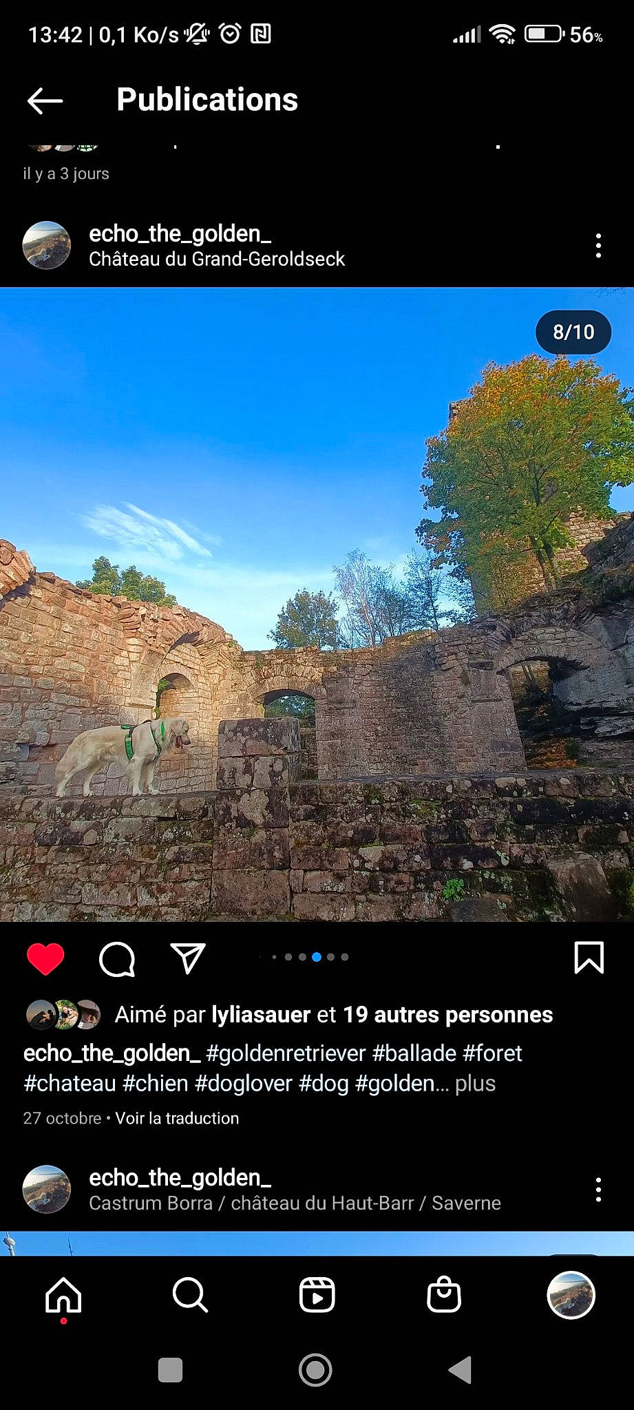 Echo a rejoint le concours — aidez-le/la à gagner de superbes lots ! adaptation, biome, building, cloud, ecoregion, font, landmark, landscape, morning, natural_environment, natural_landscape, nature, organism, plant, property, screenshot, sky, tree, vegetation, world