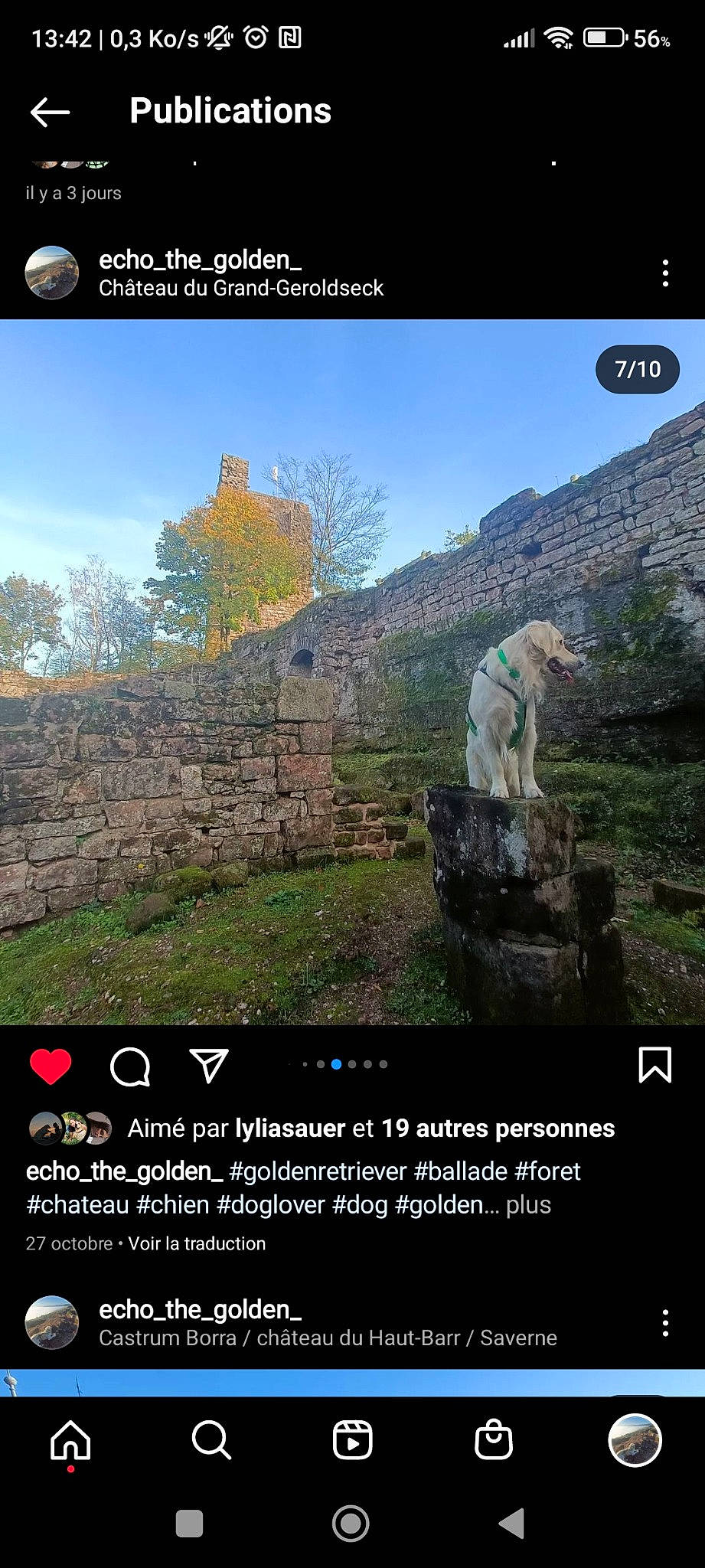 Echo a rejoint le concours — aidez-le/la à gagner de superbes lots ! adaptation, advertising, art, biome, cloud, font, grass, grassland, history, landscape, natural_landscape, photo_caption, plant, screenshot, sky, soil, terrestrial_plant, travel, tree, world