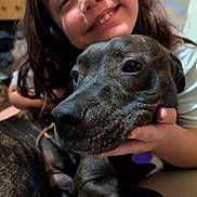 D.o.g. is registered to the contest to win money with this photo: animal, background, brindle, candid, child, close_up, cute, dog, face, friendly, happy, holding, home, indoor, love, person, pet, portrait, smiling, young