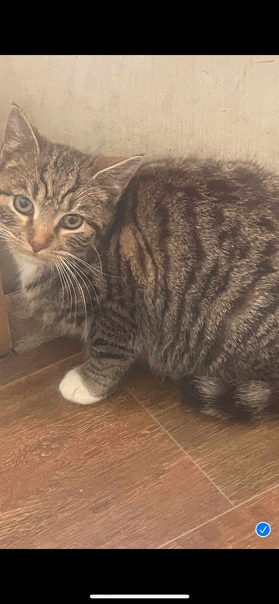 Milo