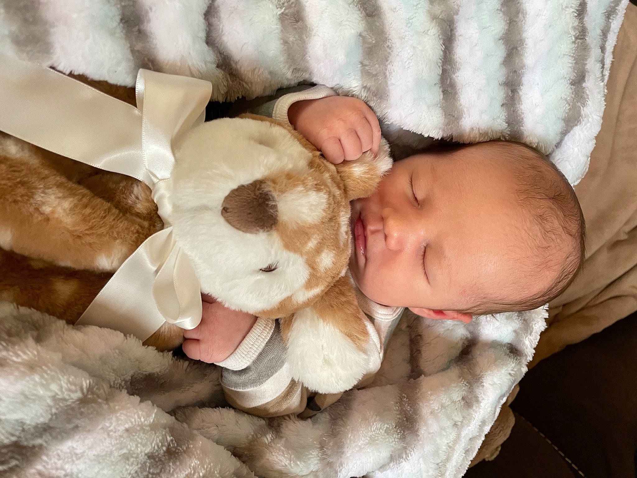 Jasper is registered to the contest to win money with this photo: baby, baby_products, baby_sleeping, baby_toddler_clothing, cheek, child, comfort, fur, happy, headgear, linens, nail, person, skin, stuffed_toy, teddy_bear, textile, thumb, toddler, toy